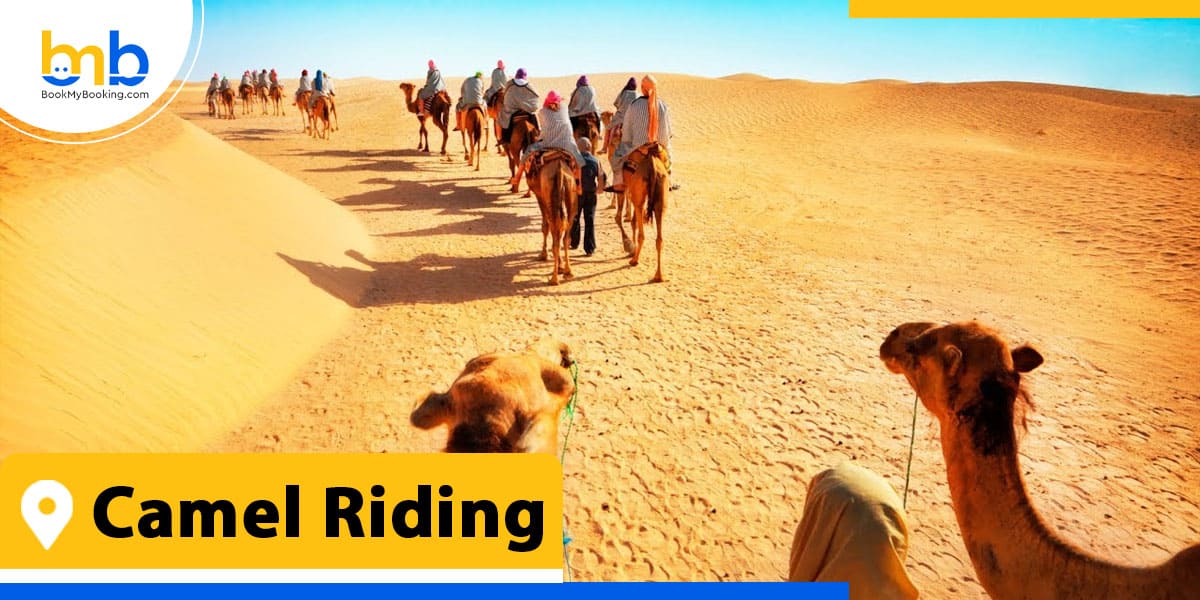 camel riding from bookmybooking