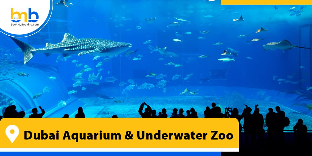 Dubai Aquarium Underwater Zoo from bookmybooking