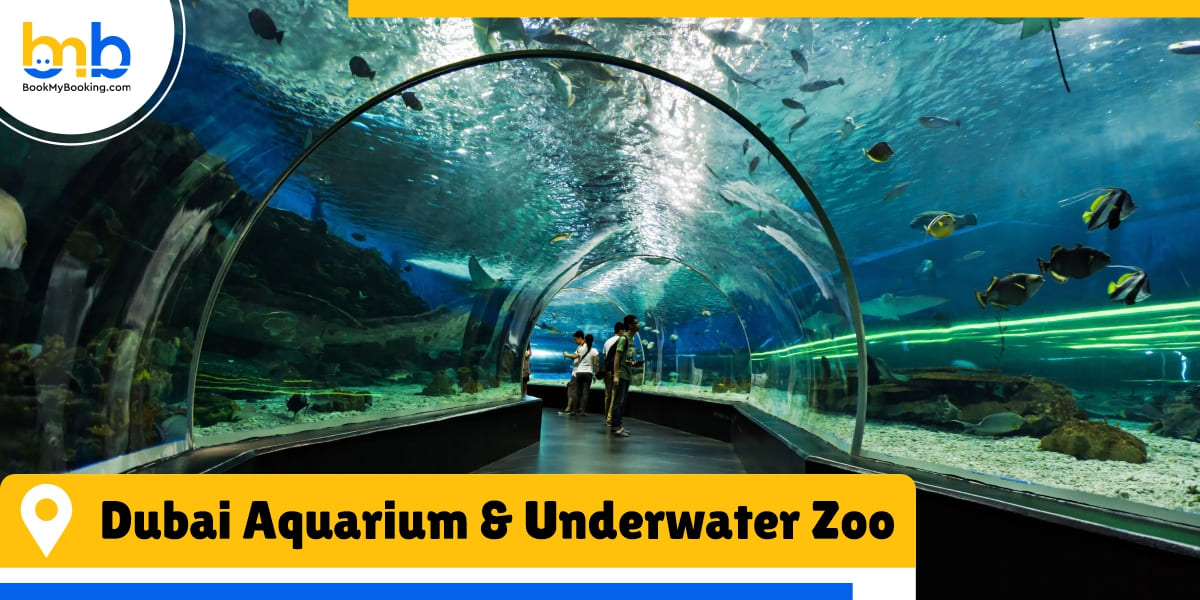 Dubai Aquarium and Underwater Zoo bookmybooking