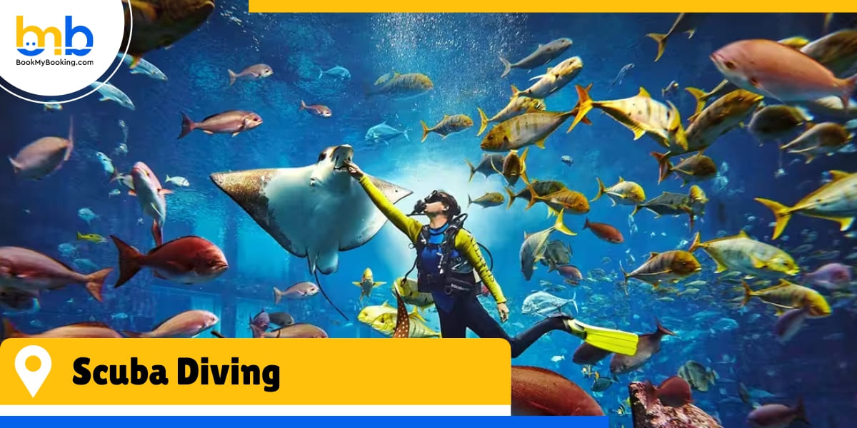 Scuba Diving bookmybooking