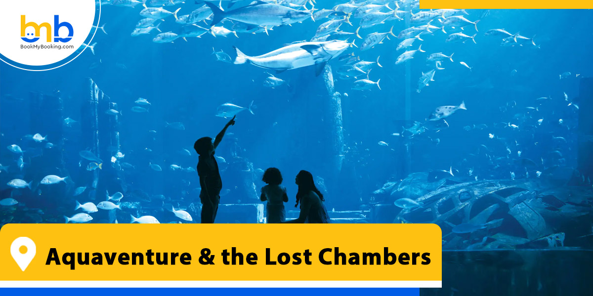 aquaventure and the lost chambers from bookmybooking