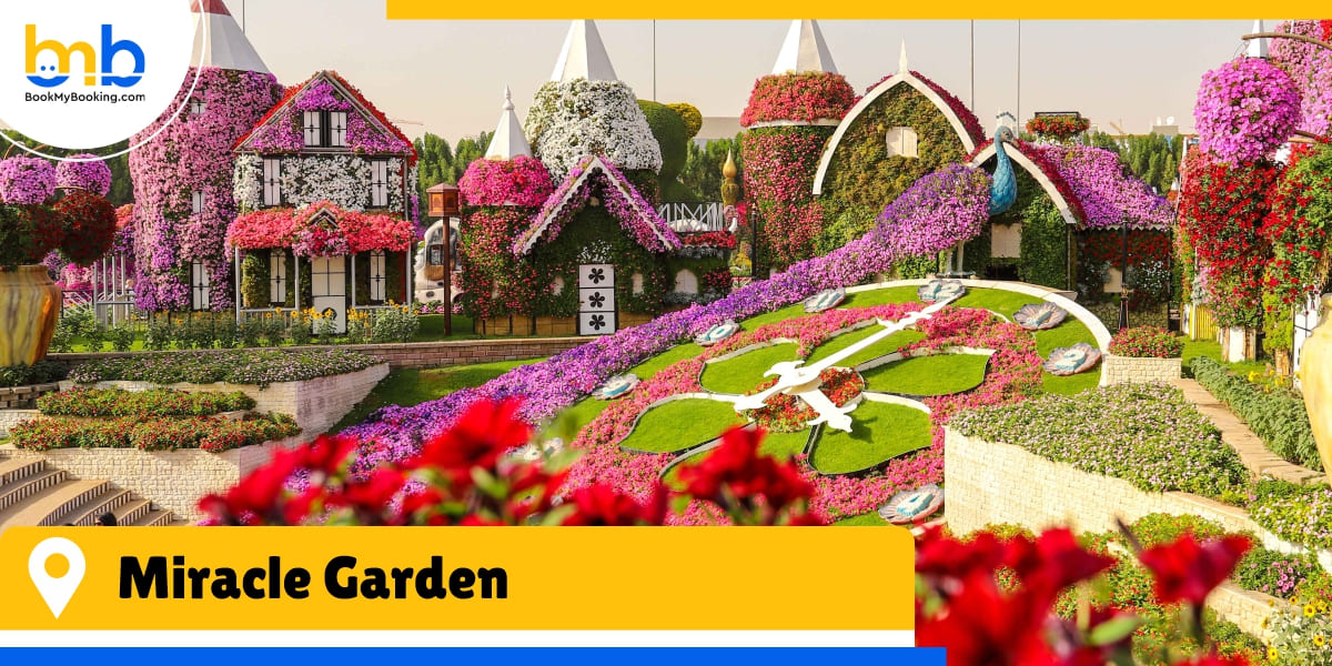 miracle garden from bookmybooking