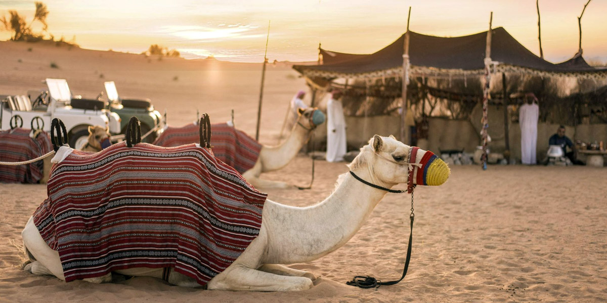bedouin culture in the desert safari tour activities to do in dubai uae