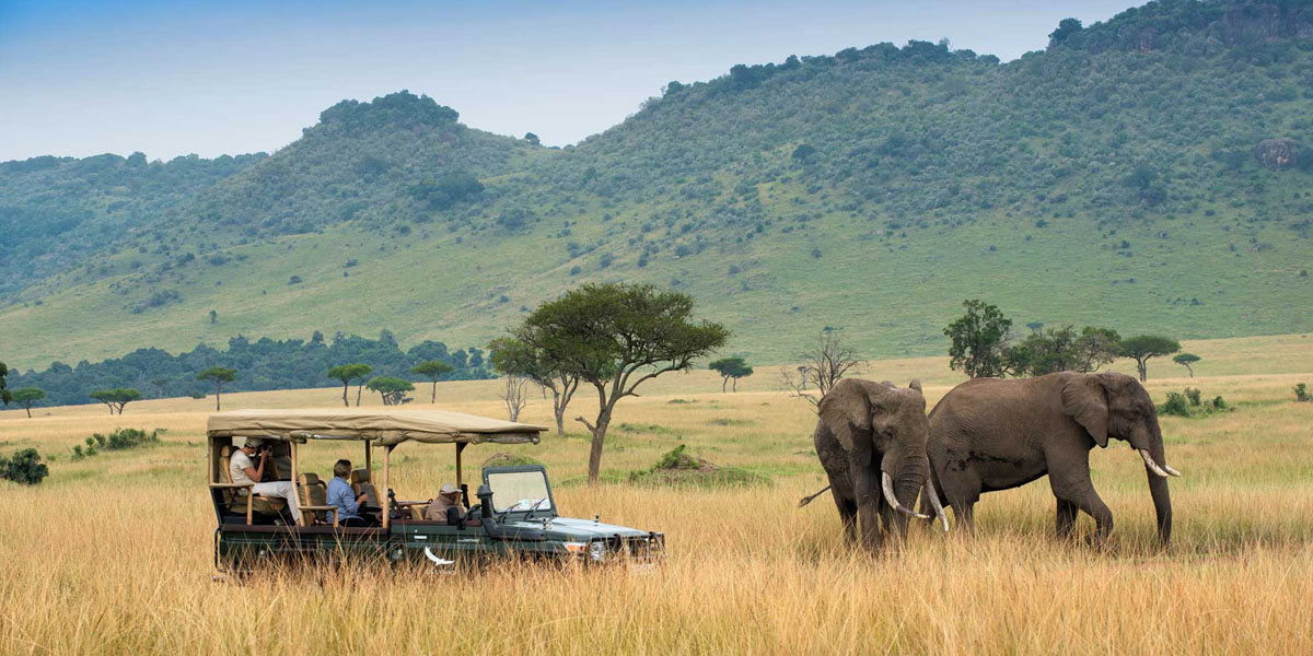 masai mara national reserve wildlife safaris in kenya