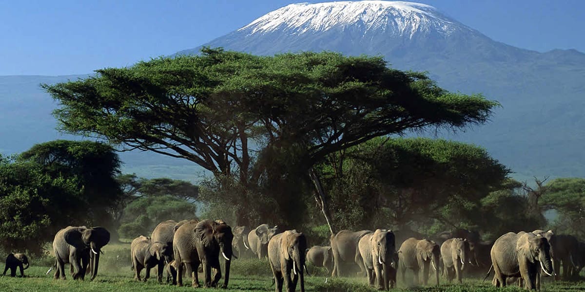 amboseli national park in kenya from instaglobalvisa