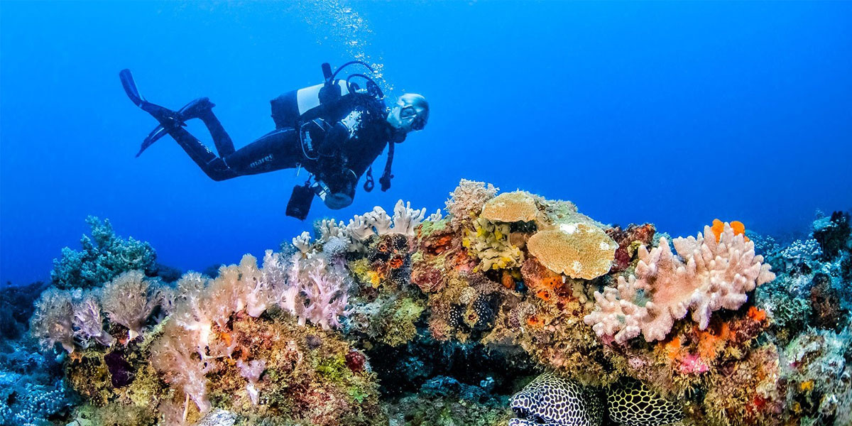 snorkelling and diving in the indian ocean add in your kenya bucket list