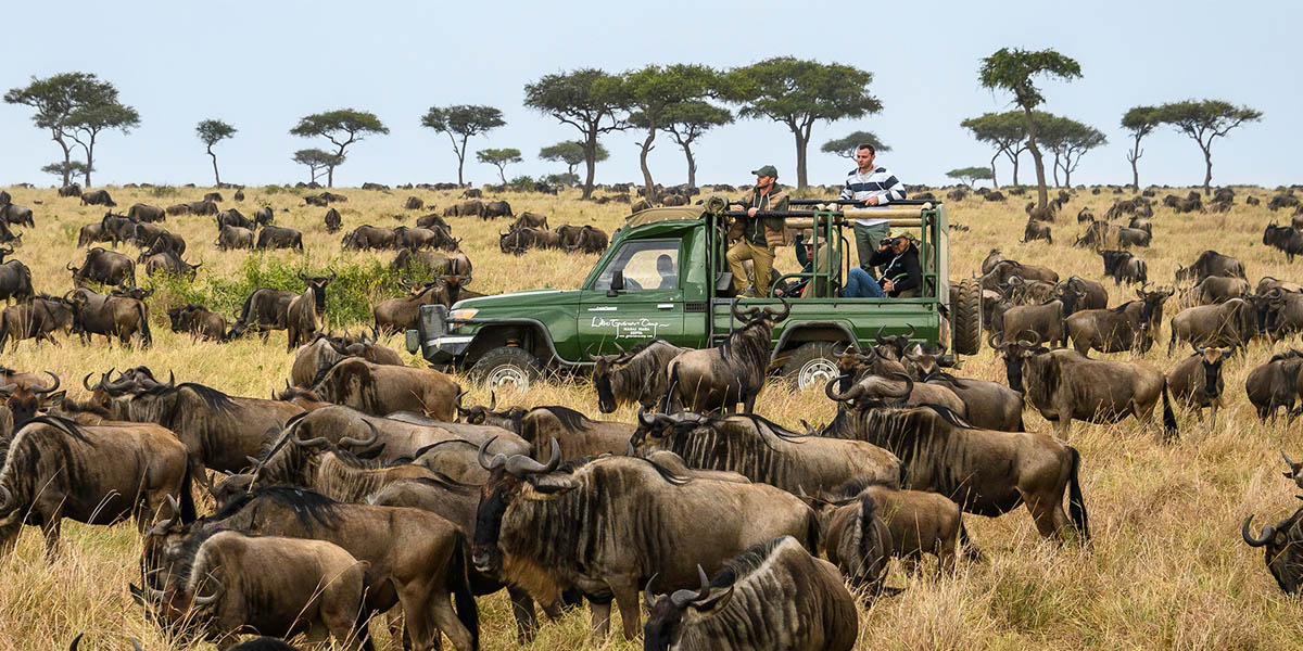 witness the great wildebeest migration add in your kenya bucket list